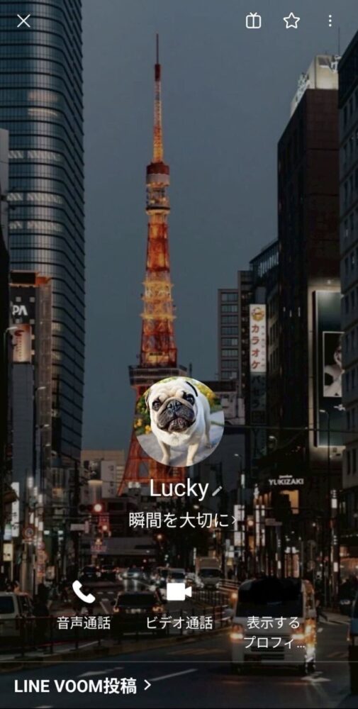 偽の身分証明書・将来の約束で信頼を演出
Vantaの詐欺では、投資の勧誘と並行して
相手の信頼を得るためのロマンス詐欺の手口が使われています。
具体的には、自分の身元を証明すると称して
架空の身分証明書の画像を送ってくるケースが確認されています。
しかしこの身分証明書は、公的な画像判別によって偽造されたものと確認されています。
さらに、将来の交際・結婚などを匂わせる言葉をかけながら心理的な関係を深め
お金を騙し取るロマンス詐欺の典型的な手法が使われています。